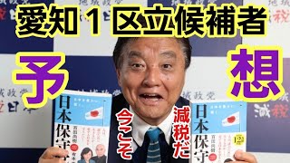 【日本を変えよう】199 愛知一区衆議院立候補予定者を分析する！消費税廃止、再エネ賦課金廃止。選挙で暮らしを豊かに、今から未来を変えよう [upl. by Channing262]