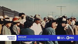 Betrayed Surviving An American Concentration Camp AIRS Monday 523 at 10pm ET on Detroit Public TV [upl. by Alice359]