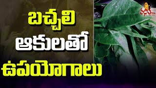 Amazing Benefits Of Spinach  Bachali Aaku  For Skin And Health  Vanitha Tips  Vanitha TV [upl. by Lovell166]