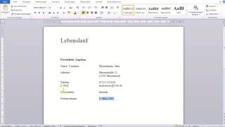 Einfacher tabellarischer Lebenslauf in Word [upl. by Tiffany]