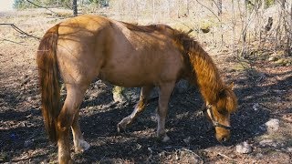 VAD HÄNDE MED MELLE [upl. by Hoyt]