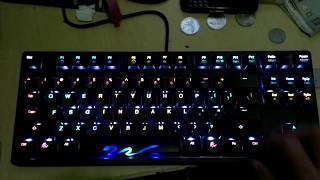 Ducky shine 3 TKL lighting mechanical keyboard [upl. by Ynehteb]