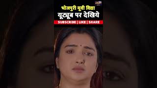 Bhojpuri Movie Vidya Release Date aamrapalidubey vidyamovie newbhojpurimovies [upl. by Lyrehs]