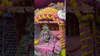 Vivah utsav shri Radhavallabh mandir [upl. by Curley926]