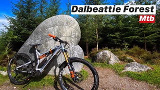 Dalbeattie Forest  Scotland Day 1 [upl. by Telimay]