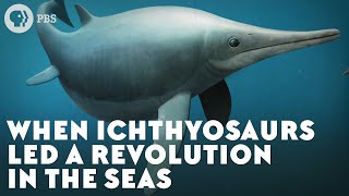 When Ichthyosaurs Led a Revolution in the Seas [upl. by Raimondo]