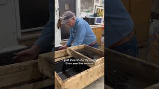 Sifting the worms using Capt Matt’s DIY sifter  free plans in the description worms wormfarm [upl. by Sell]