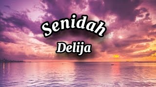 Senidah  Delija Lyrics tekst [upl. by Helaine]