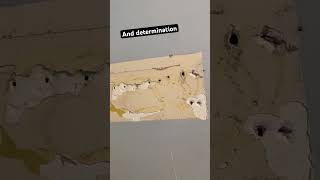 How to Hang a Picture diy home carpentryforbeginners [upl. by Aihsak]