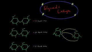 How Glycosidic Linkages are Formed Organic Chemistry Mechanism Carbohydrate Biochemistry MCAT [upl. by Thayer]