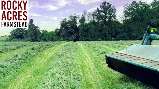 Mowing Oats With The John Deere 5125M Hay Season 2024 [upl. by Akirre]