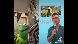 Kermit is my Boyfriend Taylor Swift TikTok Parody [upl. by Niamreg]