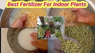 Best Fertilizer For Indoor Plants [upl. by Aisatan13]