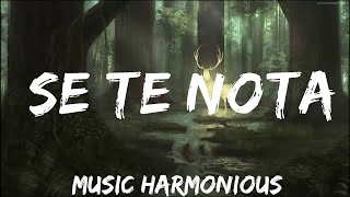 Lele Pons amp Guaynaa  Se Te Nota LetraLyrics  Music is Lyrics [upl. by Notnroht99]