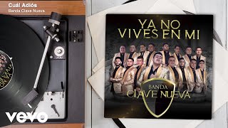 Banda Clave Nueva  Cuál Adiós Audio [upl. by Ayekal]