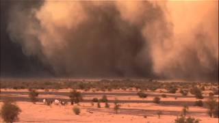 Nat Geo Wild  Sandstorm [upl. by Titus666]