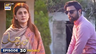 New Noor Jahan Episode 30  Promo  ARY Digital [upl. by Wendin]