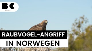 SteinadlerAttacke in Norwegen Mädchen 2 schwer verletzt [upl. by Einnoj775]