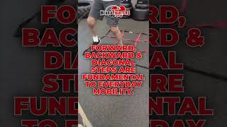 Mastering Fundamental Movements for Everyday Mobility Steps to Independence [upl. by Aviv]