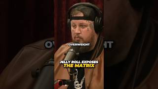 Jelly Roll Exposes The Matrix [upl. by Susejedairam]