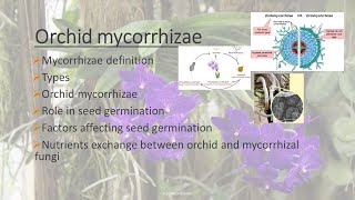 Mycorrhizal association with plants Orchid mycorrhizae  AZ Concepts guide [upl. by Crooks469]