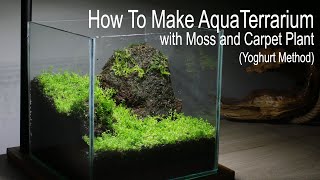 How To Make AquaTerrarium with Moss amp Carpet Plant [upl. by Briggs]