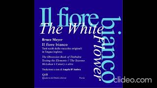 Il fiore bianco di Bruce Meyer [upl. by Divadnhoj78]