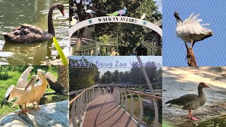 Sayaji Baug Zoo  Kamati Baug Zoo Vadodara  Part 1  Walk in Aviary Bridge Full Tour [upl. by Aillemac267]