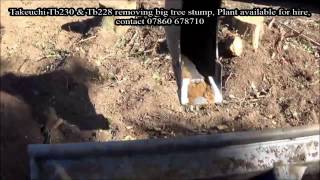 Tree Stump Removal Using Takeuchi TB228 amp TB230 [upl. by Lynnea868]