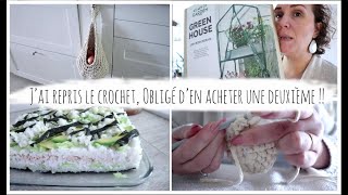 Vlog du 24 avril  J’ai repris le crochet Obligé d’en acheter une deuxième [upl. by Horten608]