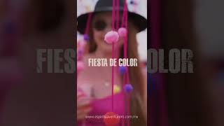 🎉🍇 ¡Celebra el Sabor y la Armonía en Wine Colors Music Fest 2024 [upl. by Labana]