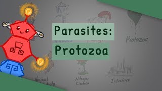 Parasites Protozoa classification structure life cycle [upl. by Wennerholn]