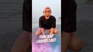 Tangkap Labubu Laut 🏝️ [upl. by Oderf]