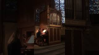 Mozart Kevelaer Seifert Chororgel MarienBasilika Shorts ahs [upl. by Robinet]