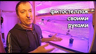 ДЕЛАЮ СТЕЛЛАЖ ДЛЯ РАССАДЫ КОТОРЫЙ ПРИНЕСЁТ 200000 РУБЛЕЙ ПОДРОБНО О ФИТОЛАМПАХ ВЫБОР ФИТОЛАМП [upl. by Schott]