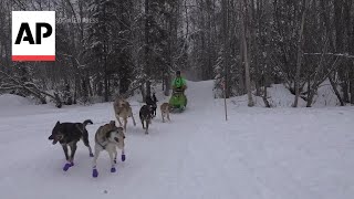 Iditarod champion talks about defending title on eve of Alaskas iconic race [upl. by Silevi]