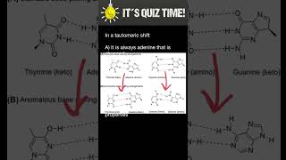 DNA Tautomeric shift [upl. by Yerhcaz]