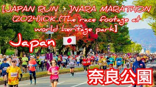 JAPAN RUN 🏃NARA MARATHON 202410K The race footage at world heritage park】奈良公園￼ [upl. by Flip]