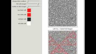 Cellular Automaton Classification according to Attractor Type [upl. by Ellehcsar]