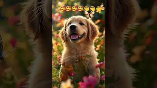 Golden Retriever Puppies Playtime in a Flower Garden ❤️❤️🥳💪 music bass remix pugpals dachshund [upl. by Bruni766]