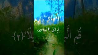 Surah Al muzamil with natural beauty quran telawatequran allahviralforyou shorts [upl. by Jarib]