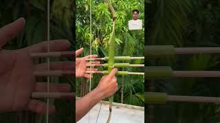 bamboo bow archery bamboogun satisfying bowandarrow bowmaker bowmakers diy toy [upl. by Paluas]