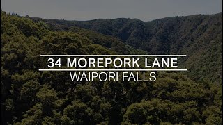 34 Morepork Lane Waipori Falls Clutha [upl. by Lavinie]