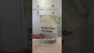 You can FLUSH this CAT LITTER [upl. by Nager]