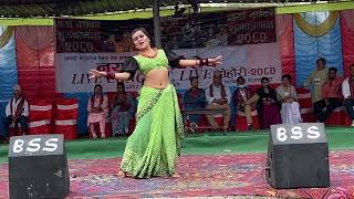 माली गाईलाई बटेको दाम्लोफूल मायामा नभुला songs dance by Sagun thapa at nawalpur donda bazar 2080 [upl. by Kovar494]