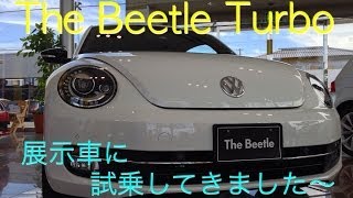 The Beetle Turboの展示車に試乗してきました〜 [upl. by Lienahs]