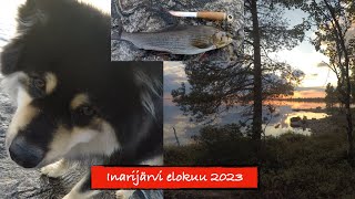 Inarijärvi elokuu 2023 [upl. by Erdnua303]