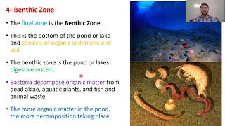 Stratifications in lakes and ponds [upl. by Supple]