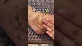 Deep Cleansing Remove Dust and Dead Skin ameenbeautytips GlowAndCleanByAmeen [upl. by Aiveneg]