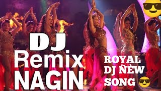 NAGIN DJ SONG [upl. by Beedon]